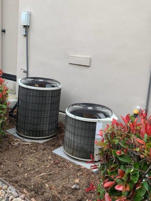 WhatsApp Image 2024-04-18 at 7.41.19 p. m. (7)